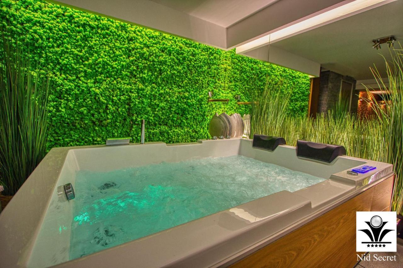 Panoramique 180 Lac Et Montagne Et Nid Secret Spa Romantique Анси Экстерьер фото